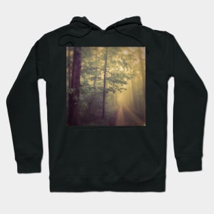 Neverland Hoodie